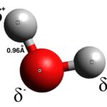 Chemical compounds explained in detail